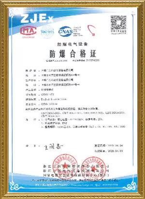 jpg100-t3-scale100 (13)